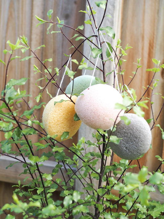 Konjac Sponge - Eco Patch