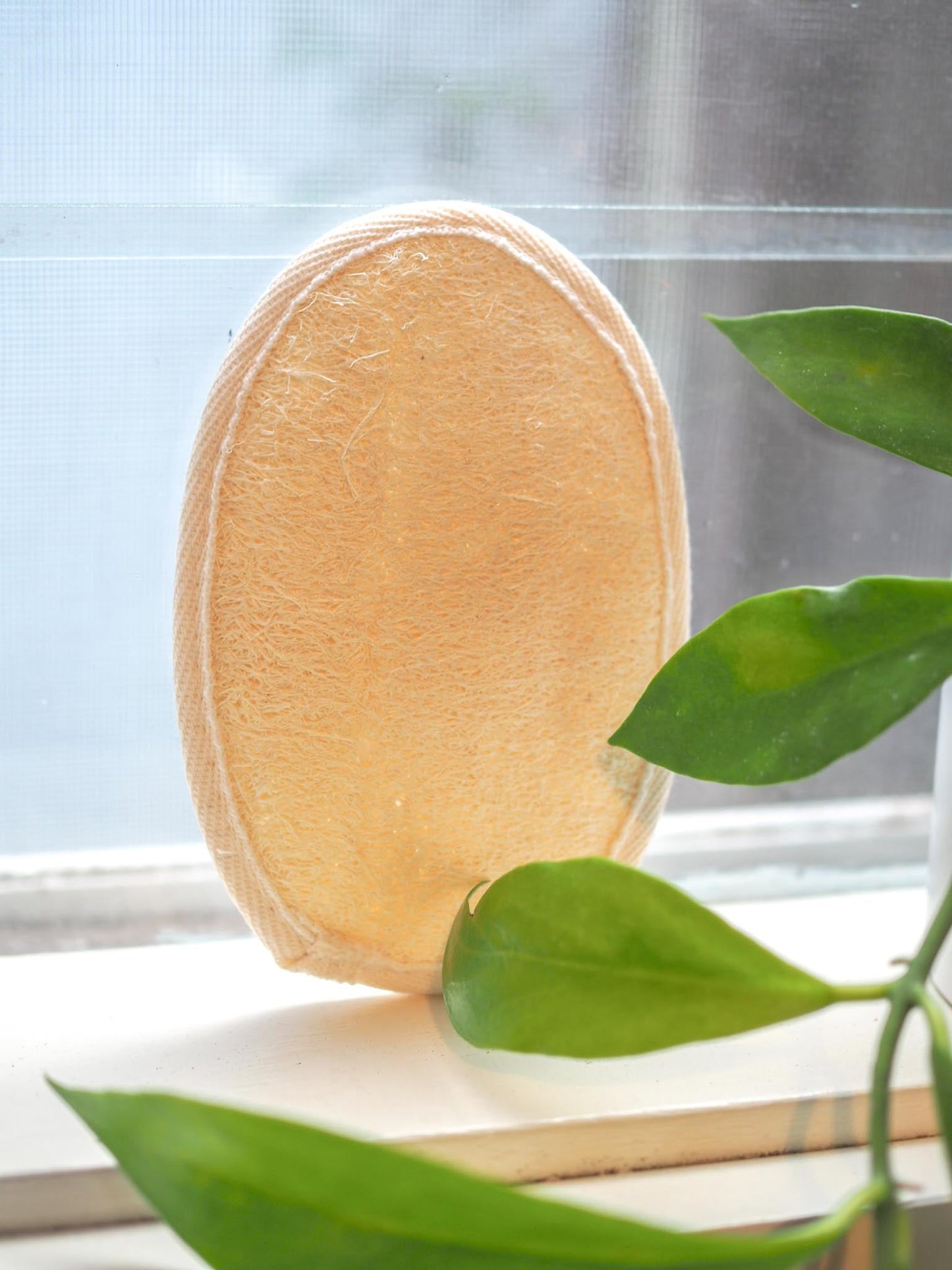 Loofah - Body - Compostable - Eco PatchCompostable